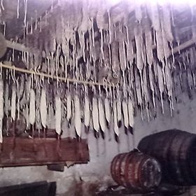 Llonganisses curant-se al celler
