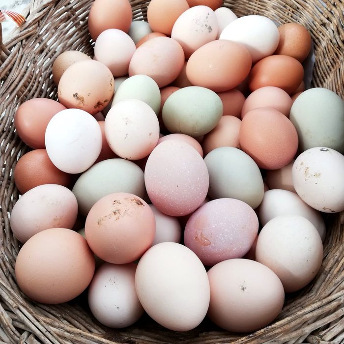Ous de les nostres gallines, de colors naturals